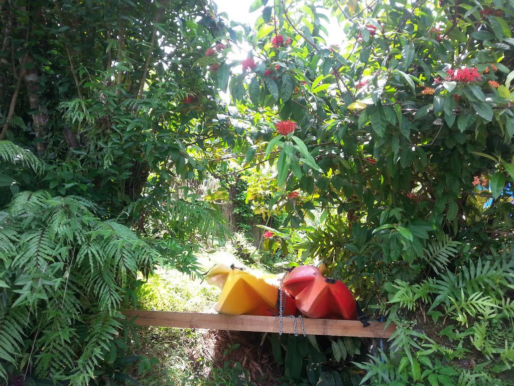 Gecko Lodge Fiji Savusavu Exterior foto